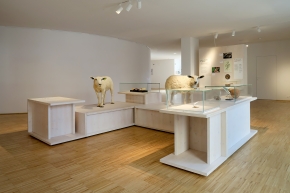 mobe orleans 8-2025 2689